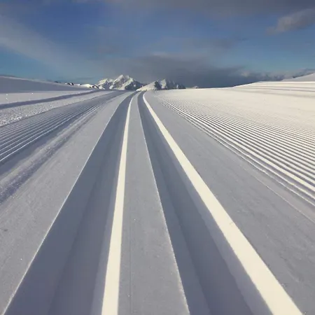 Hagstua شاليه ليكنيز