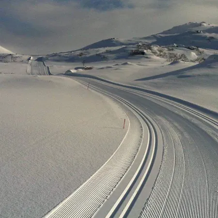 شاليه Hagstua ليكنيز